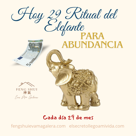 💵🐘Ritual del Elefante para la Abundancia 🐘