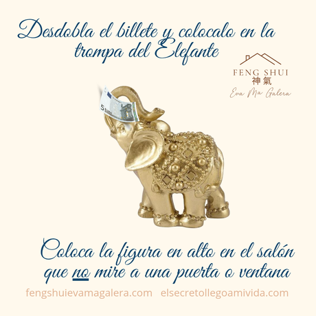 💵🐘Ritual del Elefante para la Abundancia 🐘