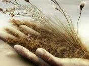 6.096 viajabas conmigo...