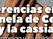 Diferencias entre Canela Ceylán Cassia