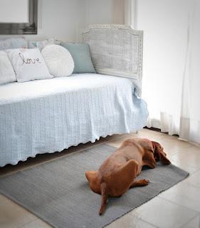 Cuarto Azul a través de los años Cuarto Azul a través de los años