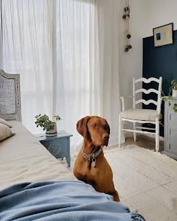 Cuarto Azul a través de los años Cuarto Azul a través de los años