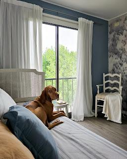 Cuarto Azul a través de los años Cuarto Azul a través de los años