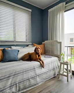 Cuarto Azul a través de los años