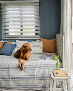 Cuarto Azul a través de los años Cuarto Azul a través de los años