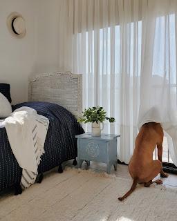 Cuarto Azul a través de los años Cuarto Azul a través de los años