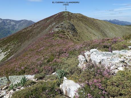 Zarréu-El Picón-El Cuernu´l Ḷḷangreiru-Picu Rubiu