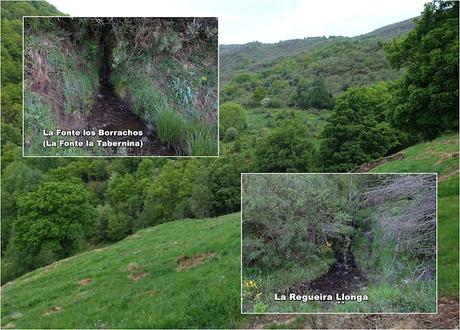 Zarréu-El Picón-El Cuernu´l Ḷḷangreiru-Picu Rubiu