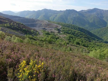 Zarréu-El Picón-El Cuernu´l Ḷḷangreiru-Picu Rubiu