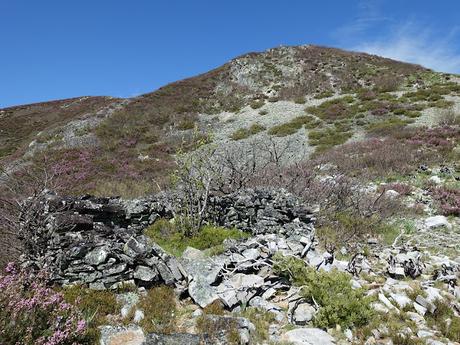 Zarréu-El Picón-El Cuernu´l Ḷḷangreiru-Picu Rubiu