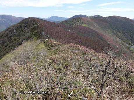 Zarréu-El Picón-El Cuernu´l Ḷḷangreiru-Picu Rubiu