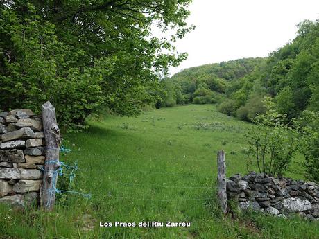 Zarréu-El Picón-El Cuernu´l Ḷḷangreiru-Picu Rubiu