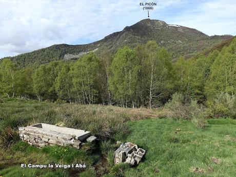 Zarréu-El Picón-El Cuernu´l Ḷḷangreiru-Picu Rubiu