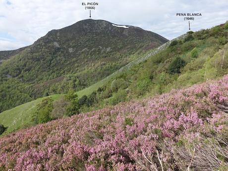 Zarréu-El Picón-El Cuernu´l Ḷḷangreiru-Picu Rubiu