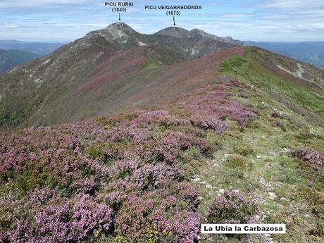 Zarréu-El Picón-El Cuernu´l Ḷḷangreiru-Picu Rubiu