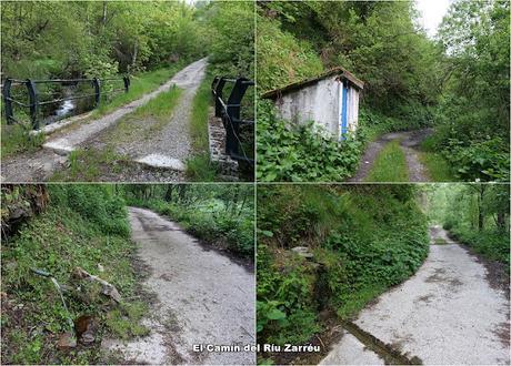 Zarréu-El Picón-El Cuernu´l Ḷḷangreiru-Picu Rubiu