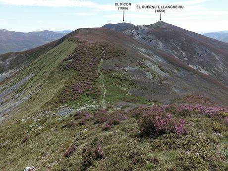 Zarréu-El Picón-El Cuernu´l Ḷḷangreiru-Picu Rubiu