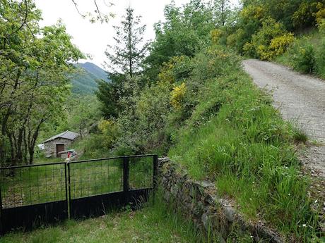 Zarréu-El Picón-El Cuernu´l Ḷḷangreiru-Picu Rubiu