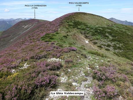 Zarréu-El Picón-El Cuernu´l Ḷḷangreiru-Picu Rubiu