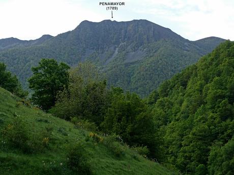 Zarréu-El Picón-El Cuernu´l Ḷḷangreiru-Picu Rubiu