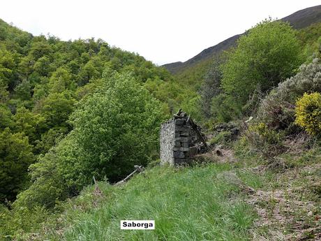 Zarréu-El Picón-El Cuernu´l Ḷḷangreiru-Picu Rubiu