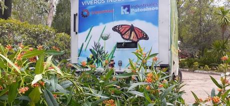 Villa de Pozos instalará un Vivero Forestal para impulsar la reforestación urbana