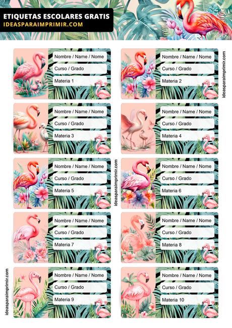 [+10] Etiquetas escolares de FLAMENCOS GRATIS para editar e imprimir!