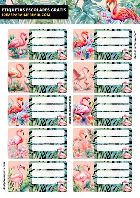 [+10] Etiquetas escolares de FLAMENCOS GRATIS para editar e imprimir!