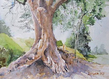 Acuarelas Enero 2025 - Árboles