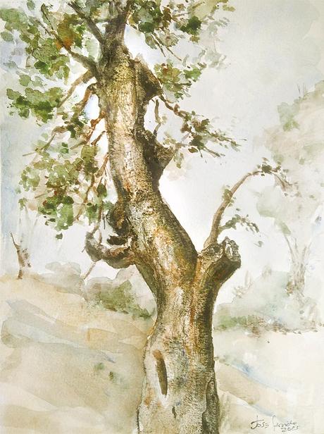 Acuarelas Enero 2025 - Árboles