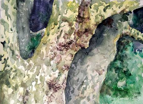 Acuarelas Enero 2025 - Árboles