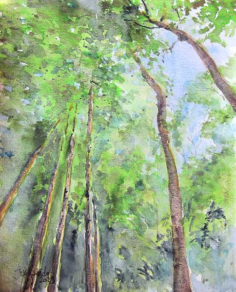 Acuarelas Enero 2025 - Árboles