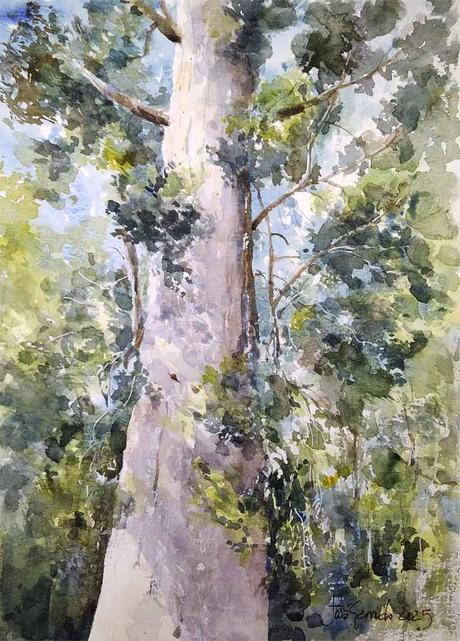 Acuarelas Enero 2025 - Árboles