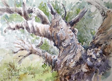 Acuarelas Enero 2025 - Árboles