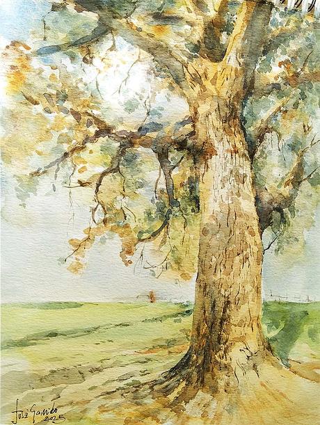 Acuarelas Enero 2025 - Árboles