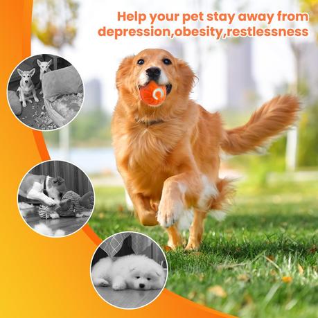 DAILINK Pelota de Juguete Inteligente 10