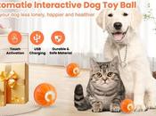 DAILINK Pelota Juguete Inteligente