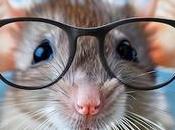 Inteligencia Animal