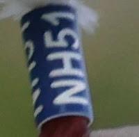 La Gaviota Reidora  NH51 y  los Tercios Españoles