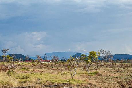 Un arte ancestral piaroa en peligro de extinción