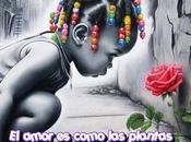 amor como plantas mimarla regalarlas.