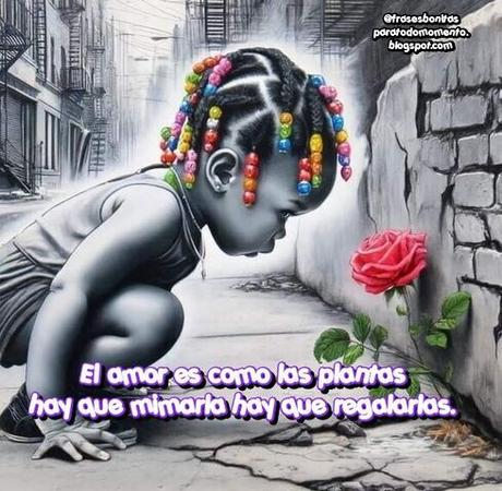 El amor es como las plantas hay que mimarla hay que regalarlas.