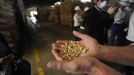 Precio del Café en la Bolsa de Nueva York Sigue en Aumento y Beneficia a Caficultores Colombianos