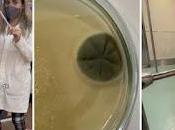 Bióloga revela cuáles microbios Metro CDMX: “Por lavarse manos”