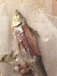 ENSALADA DE NARANJA Y ARENQUES CON CEBOLLETA