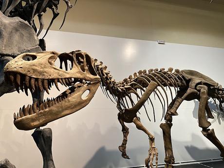 Museos en Madrid que tus hijos no olvidarán Museos en Madrid que tus hijos no olvidarán