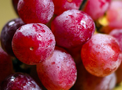 Secreto Juventud Piel: Descubre Beneficios Extracto