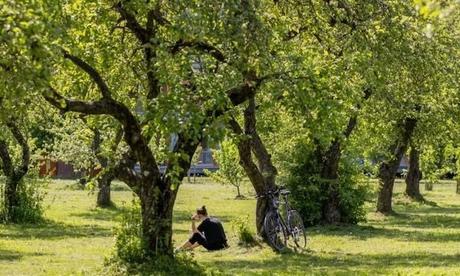 Vilna, ejemplo de sostenibilidad urbana y Capital Verde Europea 2025