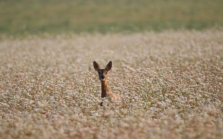 Nuestro resumen del 2024