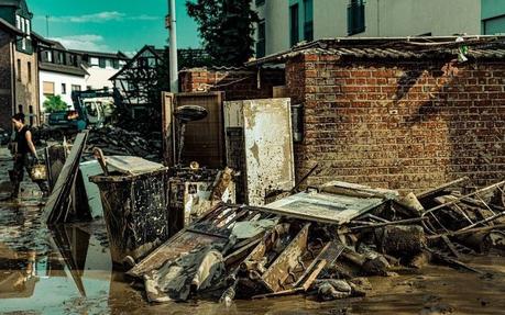 Nuestro resumen del 2024